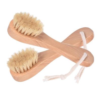 China Hot Selling Natural Hair Facial Brush Wooden Handle, Exfoliating Skin Care Facial Cleansing Brush for sale