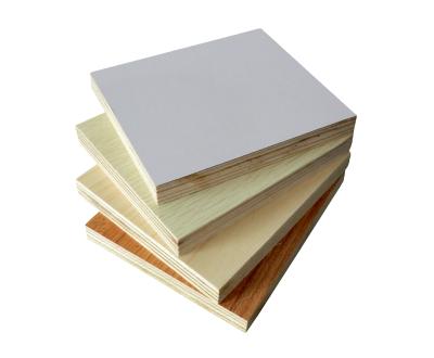 China modern cdx panel 18mm 4x8 2x4 cheap plywood sheet commercial wood plywood for sale