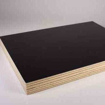 China Modern Film Faced Plywood Building Materials Building Timber for sale