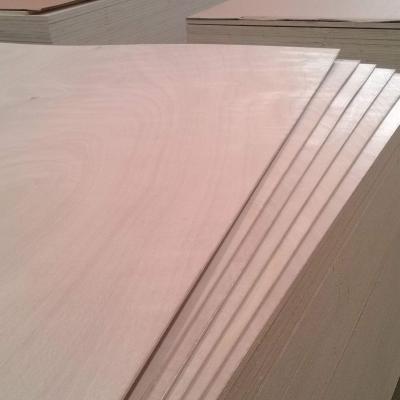 China Modern furniture grade laminated plywood panel finewood birch plywood 3mm birch for sale