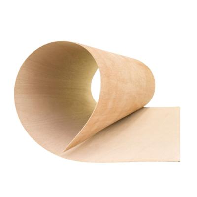 China Modern Flexible Chair Plywood Bending Plywood Veneer Faced Plywood For Furniture for sale