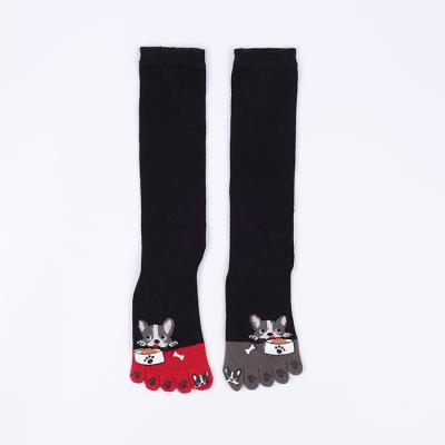 China Cotton Antibacterial Multicolor Anti-skid Socks Casual Cute Toe New Design Socks Ankle Socks for sale