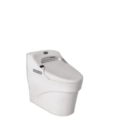 China Double-Flow Fashion Design Sanitray WC Care Two Piece Toilet Bowl Squat Pan With S Trap for sale