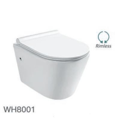 China Hidden Wall Hung White Toilet Ceramic Wash Tank Bottom Rimless Hidden Installation for sale