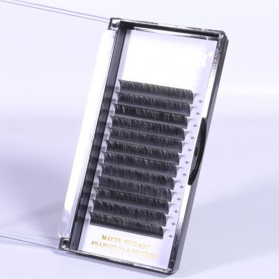 China Long Single Eyelashes False Eyelashes Natural Extension Kits 0.07 Volume Lashes End Edged Lashes Different With Box for sale