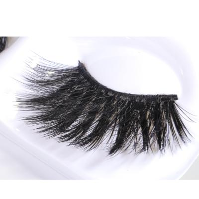 China Feather Lashes Magnetic Clip 10 Magnets Eyelashes for sale