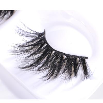 China Plume Lash Kit False Eyelashes Magnetic Eyelash 10 magnets for sale