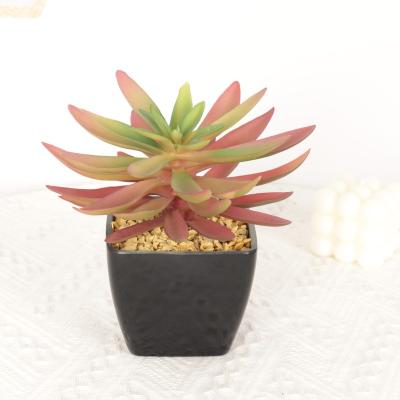 China Small Succulent Contemporary Artificial Succulent Potd Plants Large Water Lily for sale