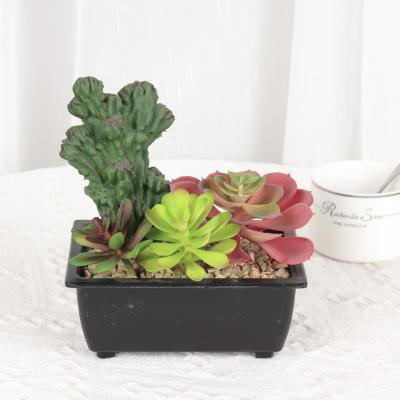 China PVC Mini Plant Cactus Wholesale Artificial Plastic Succulent Plant Decoration Mini Succulent Plant for sale