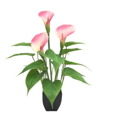 China Holiday/Christmas Day Decoratiom/Home Decoration/Garden Flowers Calla Lily Artificial Calla Potted Flower For Home Decoration for sale