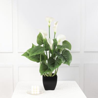 China Real Touch Calla Lily PVC Plastic Calla Lily Flower Artificial Flowers for sale