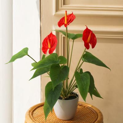 China Simulation CLASSIC wholesale flower garden decorative flowers in the living room and dining room anthurium plant plant for sale