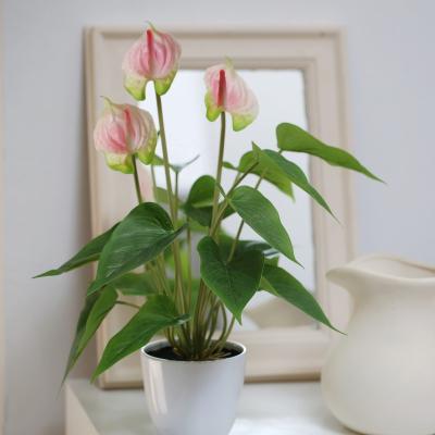 China High Quality Plastic Amazon Anthurium Artificial Flowers for Home and Office Decoration for sale