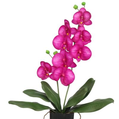 China Holiday/Christmas Day Decoratiom/home decoration artificial phalaenopsis orchid flower vials/garden silk flower arrangements wholesale orchid for sale