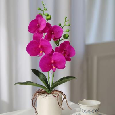 China Decorative Orchid Flower Pot Orchid Flower Rubber Fabric Touch Real Orchid Flower For Decor Room Home Decor for sale