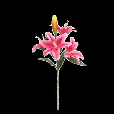 China Strip Moss Artificial Flowers Sell Tiger Lily Vase Artificial Flowers Premium Wholesale Cheap for sale