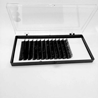 China 20mm 25mm length 20mm 25mm thick custom silk strands 18mm matte flat matte private volume eyelash extension false bulk kit for sale