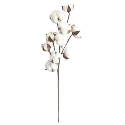 China Indor Decoration Naturally Dried Cotton Branch Stems Truss Artificial Flower For Home Decor for sale