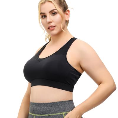 China Antibacterial Women's Mesh Front Compression Slimming Sports Muscle Bra for sale