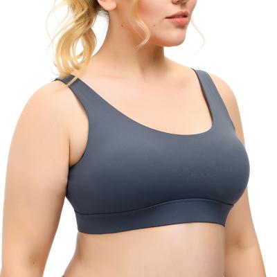 China Antibacterial Women Soft Padded High Impact Performance Sports Training Bra for sale