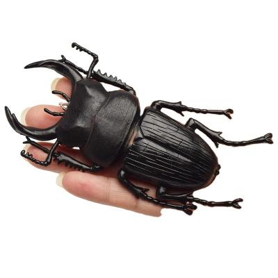 China OEM factory custom Lifelike Model Simulation Insect Toy Nursery Teaching Aids Joke Toys for sale