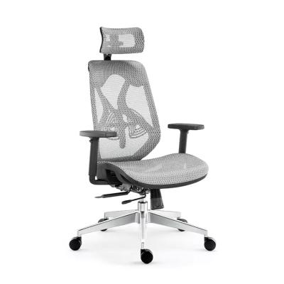 China Comfortable Mesh Ergonomic Swivel Office Chair Modern Adjustable Back Computer (Height) New Style Adjustable High Match for sale