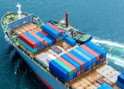 China Ocean Freight Service for sale