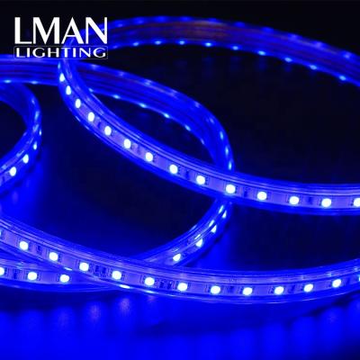 China Easy Installation Hotel Outdoor Decorate IP65 Waterproof AC 110V 127V 220V 260V SMD5050 RGB LED Strip Light for sale