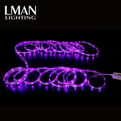 China Male And Female Connection Holiday Celebration Lighting Waterproof 5M 10m 20M 110V 220V IP67 5050 10W 16W LED Strip for sale