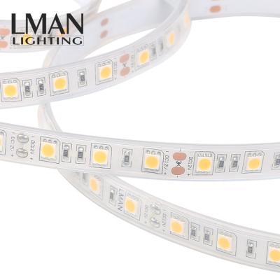 China Easy Installation High Bright Outdoor Decorative SMD 5050 DC12V/24V 950lm/m 60Leds/m 10w ip68 led strip light for sale