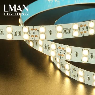 China Holiday Decoration Easy Installation IP20 120leds/m DC 12V 24V SMD 5050 RGB LED Twin Line Strip Light for sale