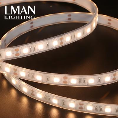 China Sy Installation Silicone Tube DC12V 24V SMD 5050 Outdoor Waterproof Flexible Led Strip Lamp IP65 for sale