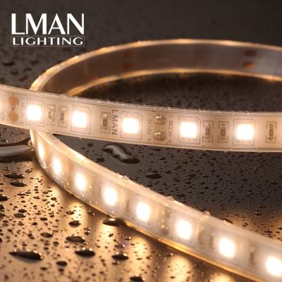 China Easy Installation IP68 8MM Width Adjustable Optical Full Color Waterproof DC 12V 24V 9.6W smd2835 led strip light for sale