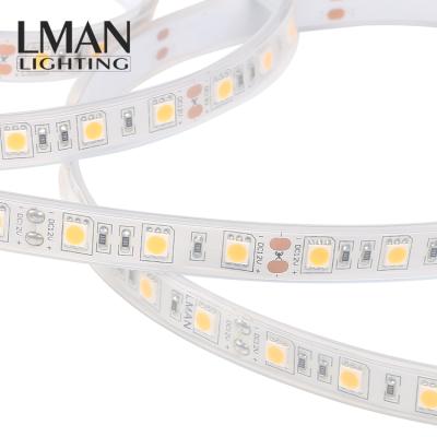 China Easy Installation Guzhen Factory Ce Rohs Smd 5050 950lm/m 60leds/m 10w Waterproof Ip68 Outdoor Led Strip Lamp for sale