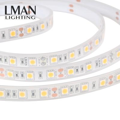 China Easy Installation Dimmable Outdoor Decoration SMD505012V 24V 60leds/m 10W/M IP68 Waterproof Led Strip Lights for sale