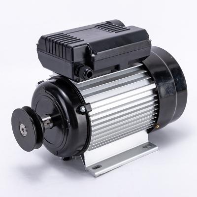 China Aluminum Shell Double Capacitor Single Phase AC Asynchronous Motor 2.2KW-2P Totally Enclosed for sale