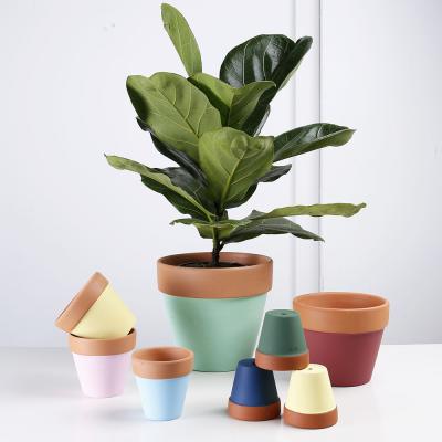 China Europe 2019 new design custom terracotta flower pot planter for indoor and outdoor use for sale