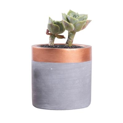 China 2021 Nordic Style Indoor Eco - Friendly Small Single Plants Flower Cement Pots For Succulents Garden Planter for sale