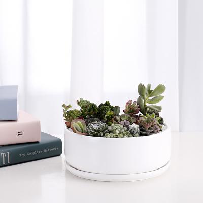 China Drain Hole At The Bottom 8 Inch Tall Modern White Round Ceramic Cactus Pots With Removable Tray Planter Succulent Pot for sale