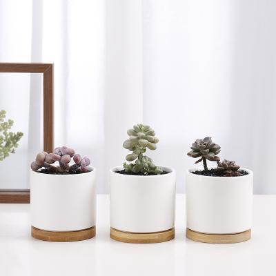 China Eco-friendly wholesale indoor mini ceramicplantpot supplier cheapcustom succulent pot withbamboobase for sale