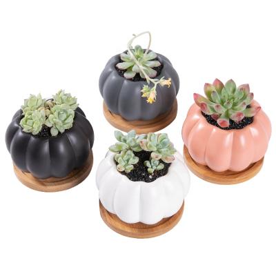 China Modern Good Quality Home Decor Window Ceramic Pumpkin Flower Pot For Succulents for sale