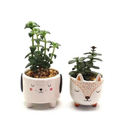 China New Design Modern Hand Paint Ceramic Small Cute Dog Aminal Plant Pot for sale