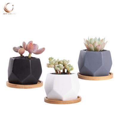 China Plant Modern Indoor Office White Ceramic Flower Hexagon Decoration Succulent Pot for sale