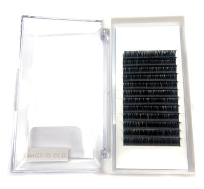 China Manufacturer Wholesale Long Keep Thick Volume Curl Classic Eyelash Extension for sale