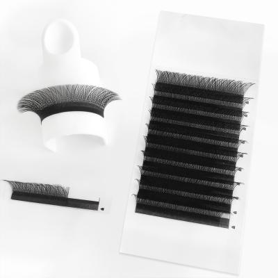 China Long 0.05 Natural Soft Natural Eyelash Extensions YY Shape Lash Lash Easy Fan C D Curl Tray Automatic Fan Yy Lash Color Ellipse for sale