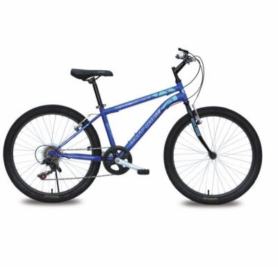 China Moutain Bicycle Factory 26 Inch Carbon Steel Direct Height Mountain Bike For Adult for sale