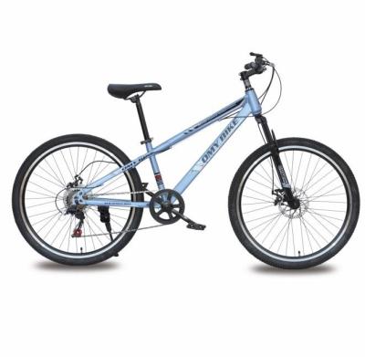 China Moutain Bike Steel Frame 24