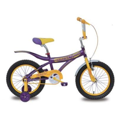 China Magnesium Alloy Steel Kids Bike 12