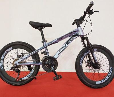 China Moutain bike most popular hotsale style best quality 20 inch mountain bike for sale