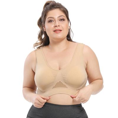 China Plus Size Sports Crop Top Femme Bras For Women Gym Sports Bra Women Tube Top Fitness Bralette Push Up Bra Yoga BH S-6XL for sale